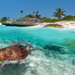 La maravillosa oferta de itinerarios que combina cruceros fluviales y viajes en tren »
