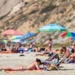 Los 5 trenes más veloces del mundo en el 2024 »