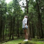 Innovaciones Clave en Seguridad y Tecnología para el Sedán del Futuro »