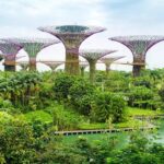 Infiniti QX55 Sensory AWD del 2025 »