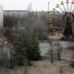 Los Árboles Más Altos y Antiguos del Planeta »