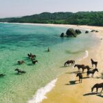 Los 5 mejores autos para terrenos rurales en el 2025: resistencia, potencia y versatilidad