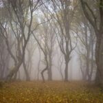 5 Autos que Parecen Sacados de una Película de Ciencia Ficción »