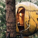 ¿Dónde Puedes Acampar Dentro de un Cráter Volcánico? »