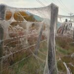 Países Tan Silenciosos que Escucharás Hasta Tus Pensamientos »