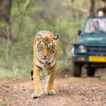 Hoteles y Resorts Exclusivos que Definen una Nueva Forma de Viajar »