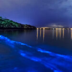 ¿Qué autos familiares combinan seguridad y elegancia a la perfección en el 2025? »