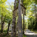 Los 5 modelos de autos que acumulan las mayores quejas por problemas de transmisión »