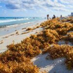 Los 5 aeropuertos de Sudamérica con los mayores problemas de retrasos en temporada alta »